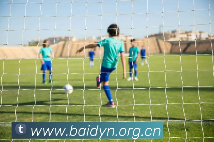 米兰官网入口服务体系